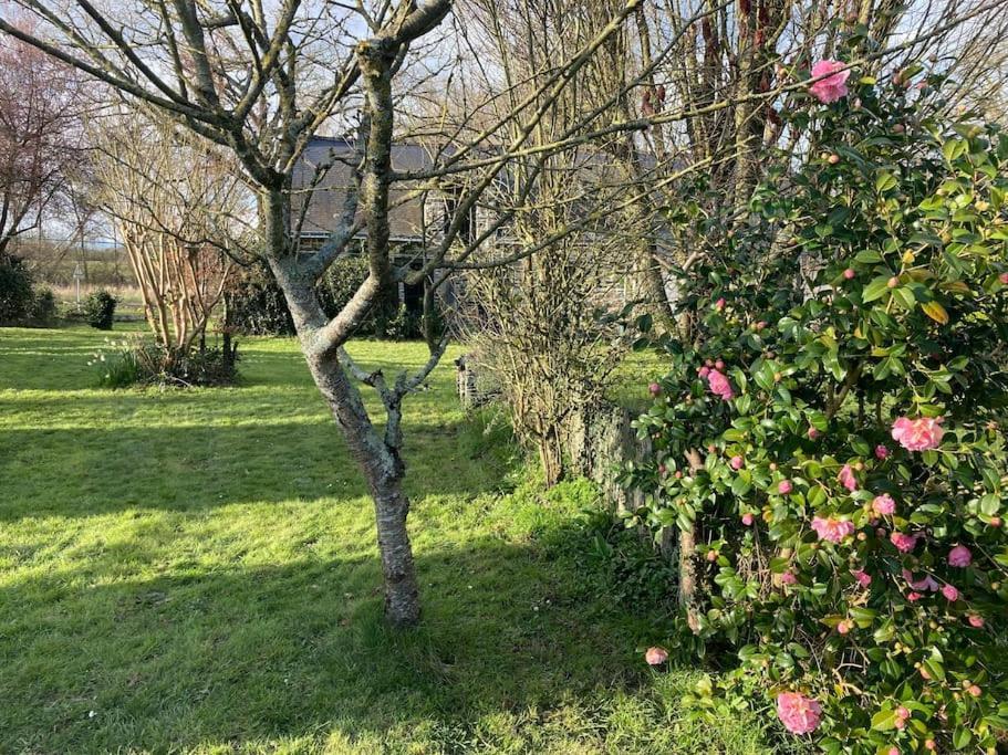 Holiday home Le De Cardunel *